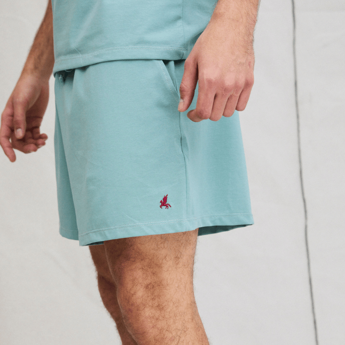 Conjunto de Pijama Osvaldo Short y Polera Manga Corta de Algodón en verde y azul - Parsons
